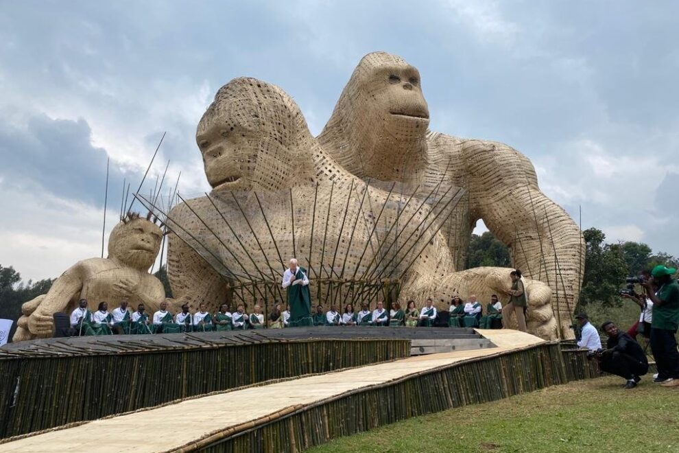 Gorilla naming ceremony in Rwanda