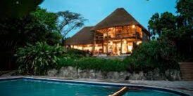 Turaco Treetop lodge in kibale national park