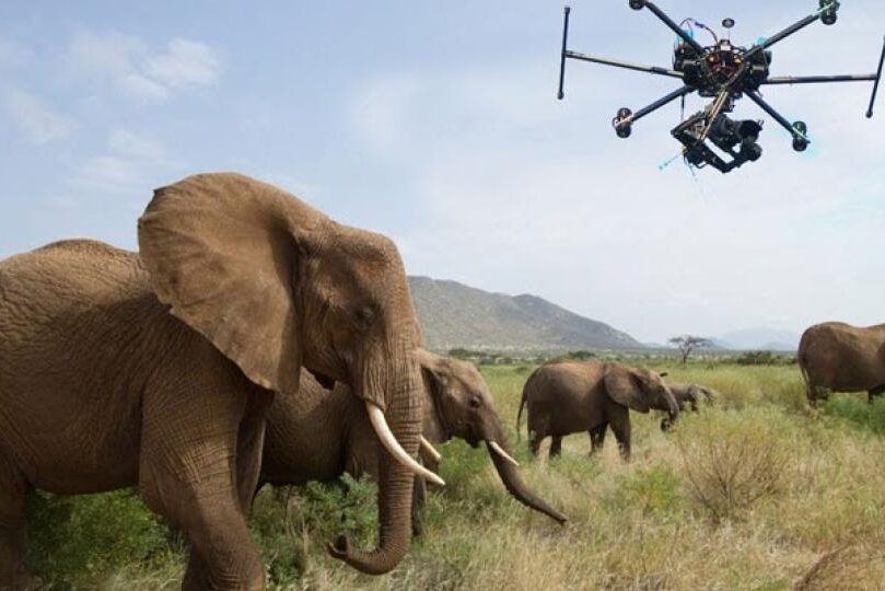 Game drive in murchison falls national park.
