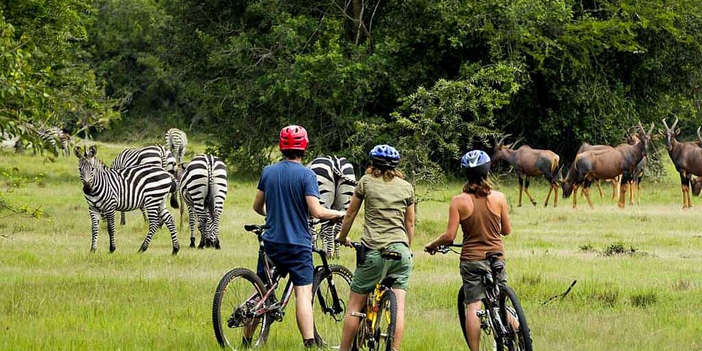 cycling-in-lake-mburo-national-park